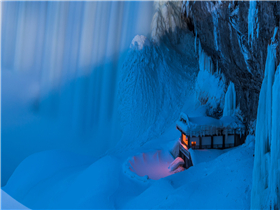 76net必赢官网参加福田雷萨年度股东会议